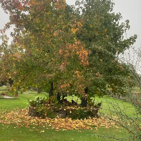 別荘 La Casa De Marta *