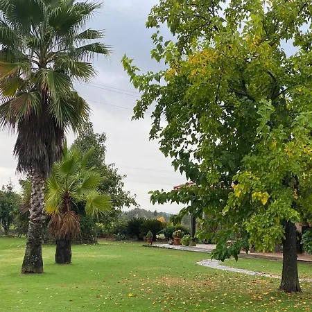 La Casa De Marta マドリガル・デ・ラ・ベラ