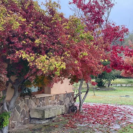 La Casa De Marta * マドリガル・デ・ラ・ベラ