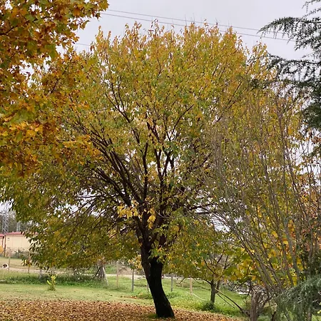 Сasa de vacaciones La Casa De Marta Madrigal de la Vera