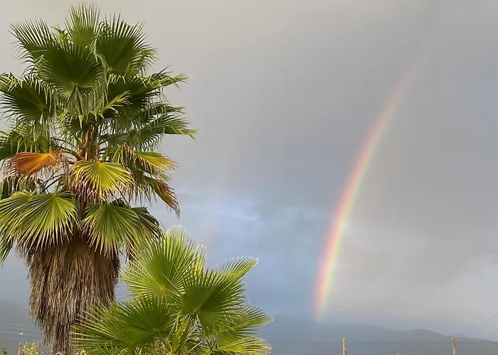 La Casa De Marta * Madrigal de la Vera
