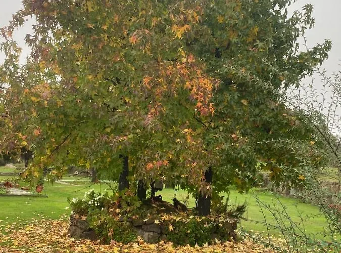 Hébergement de vacances La Casa De Marta *