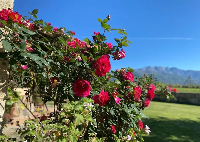 La Casa De Marta Сasa de vacaciones *