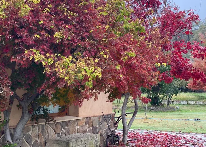 La Casa De Marta * Madrigal de la Vera