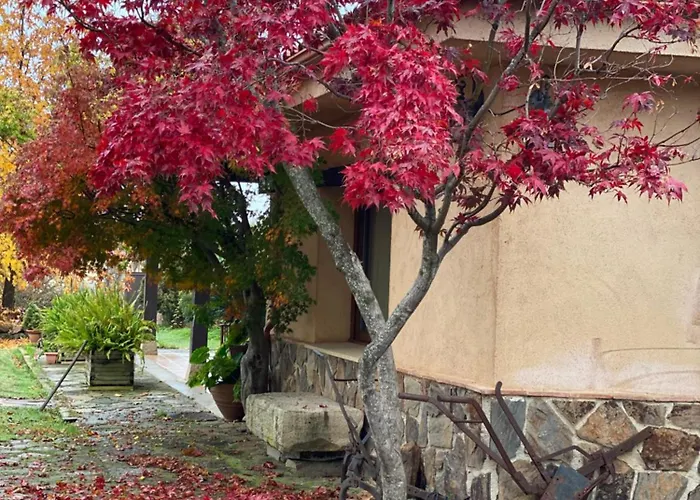 Сasa de vacaciones La Casa De Marta