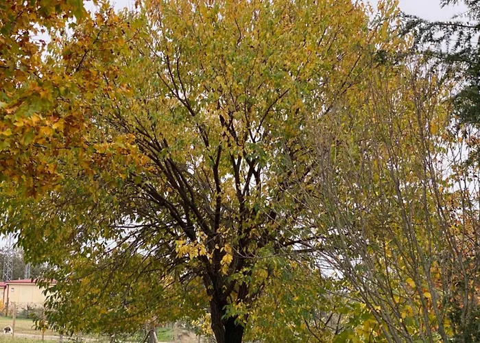 Сasa de vacaciones La Casa De Marta Madrigal de la Vera